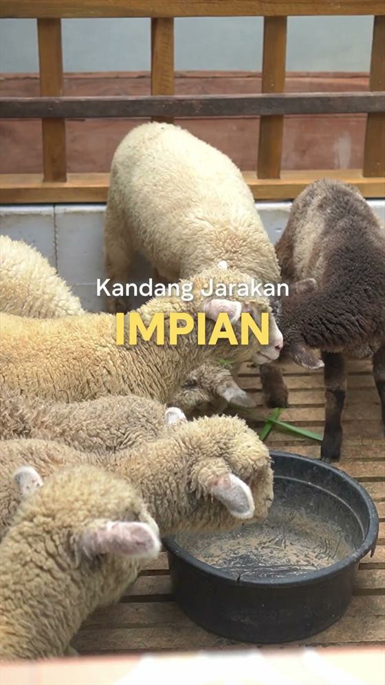 Feeding time — Video &middot; 02